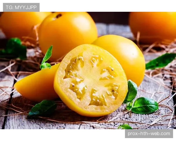 拉菲尼亚家的狗都吃有机牛排了